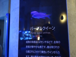 DSC05597_R