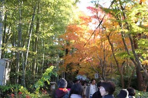 IMG_9017