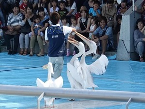DSC05706_R
