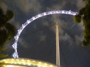 DSC09446_R