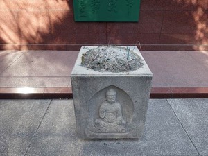 DSC02789_R