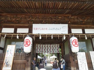 DSC01386_R