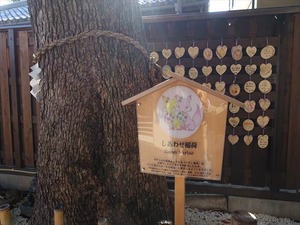 DSC04801_R