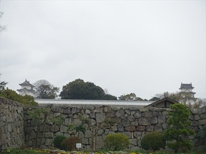 DSC08808_R