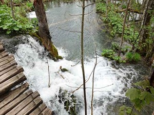 DSC00718_R