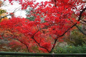 IMG_5364 - コピー