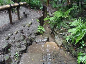 DSC02458_R