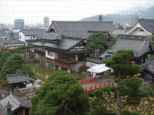 DSC01005_R