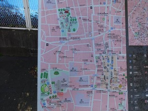 DSC04655_R
