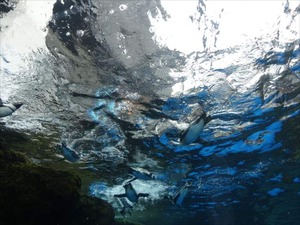 DSC08051_R