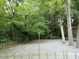 DSC07333_R