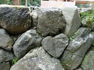 DSC07366_R
