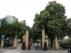 DSC04316_R