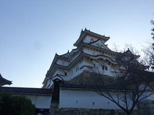 DSC01207_R