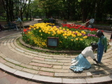 posamu4267071