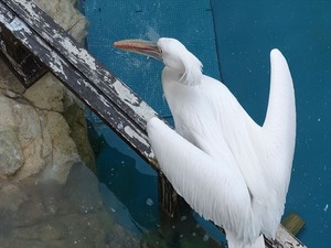 DSC05697_R