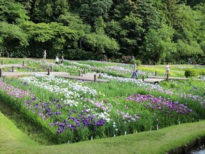 IMG_7118_R