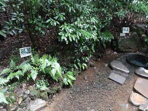 DSC02455_R