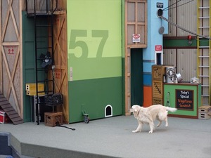 DSC07385_R
