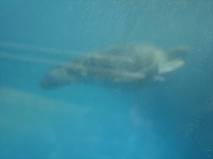 DSC05657_R