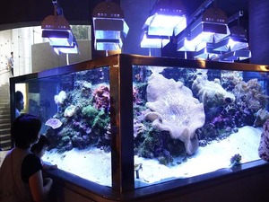 DSC05592_R