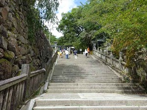 DSC01398_R