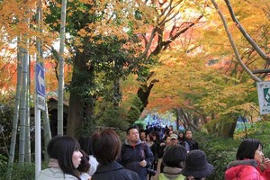 IMG_9018