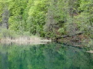 DSC00774_R