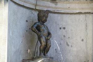 IMG_6533