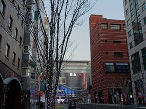 DSC01465_R