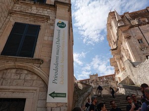DSC02087_R