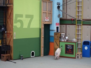 DSC07368_R