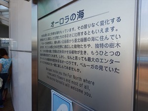 DSC03510_R