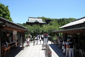 IMG_6449