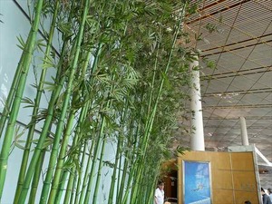 DSC00427_R