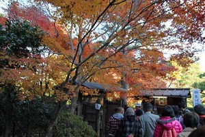 IMG_9011
