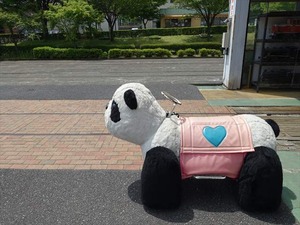 DSC08054_R