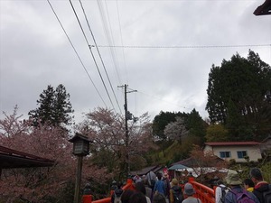 DSC08929_R
