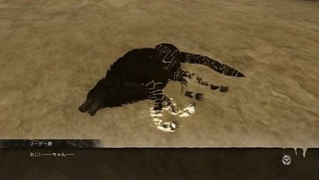 43