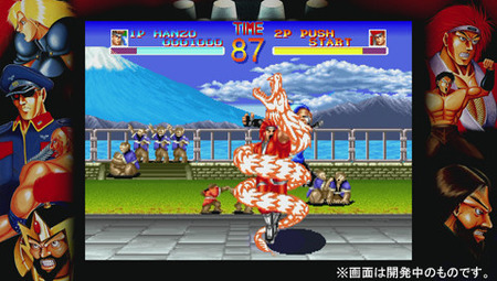 81