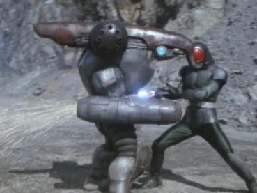 81