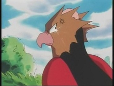 204