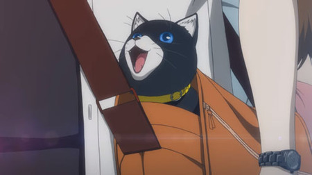 29