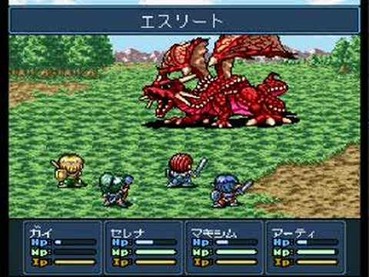 256