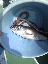 51cb94c4.jpg