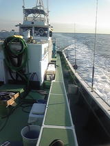 c25f982b.jpg