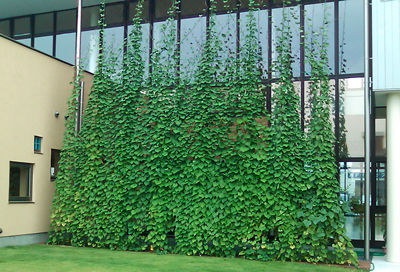 20100802_400_03