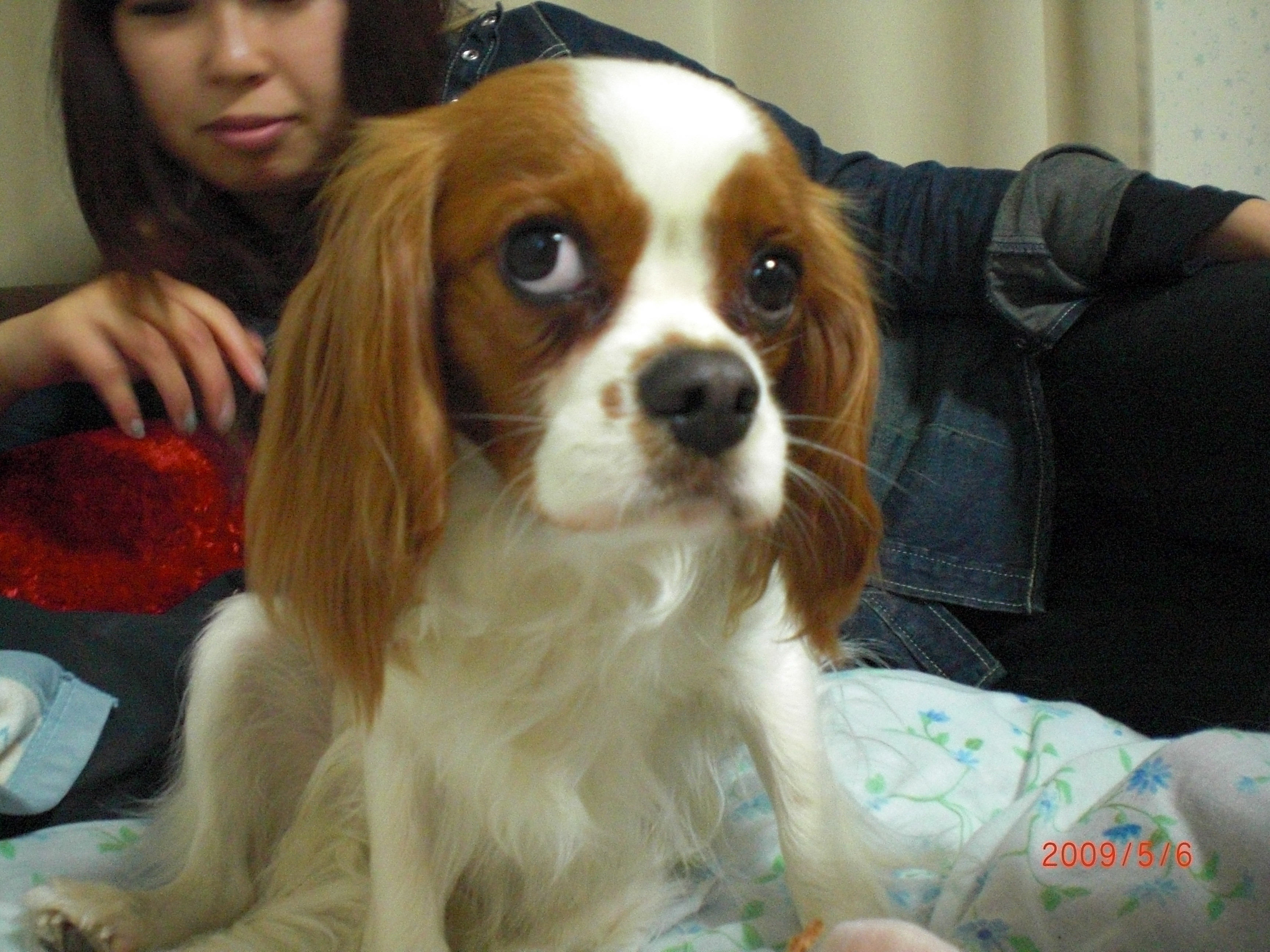 CIMG0553