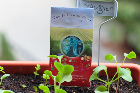 Future of Food