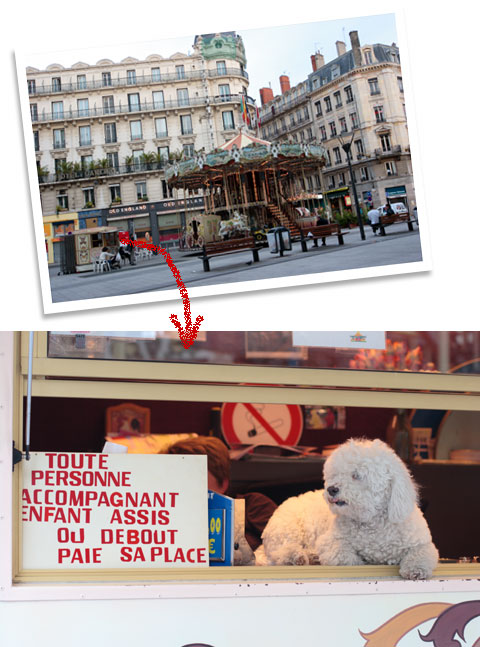 フランス旅行:リヨンのメリーゴーランド犬